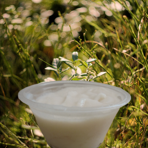 Rosemary Mint and Aloe Conditioner infused with Jamaican Black Castor Oil, Vitamins B & E