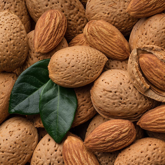 Natural Oils Plus Almond Oil product image with seeds and shells