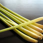 Natural Oils Plus Lemongrass Essential Oil product image. Lemongrass stalks.